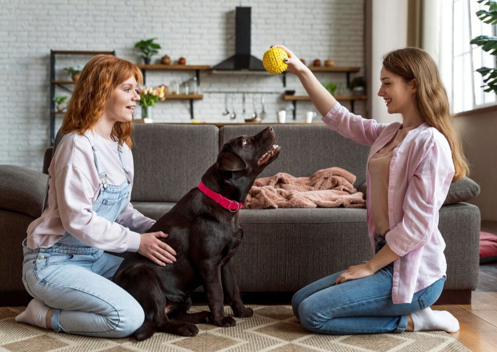 Teaching Pets How to Behave
